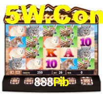 888Pib